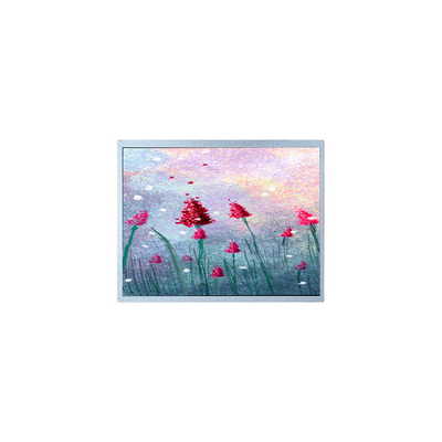 Buen precio P1900SXF1MA00 19.0 pulgadas TFT monitor LCD para imágenes médicas en línea