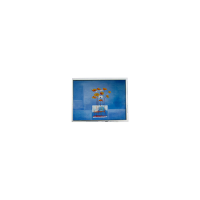 Buen precio HSD080GHW3-A15 8.0 pulgadas 1280 * 720 pantalla LCD para alta luminosidad al aire libre en línea