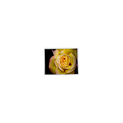 Buen precio nuevo 9,7 pulgadas HSD097HXN2-A00 1024 * 682 panel de pantalla LCD en línea