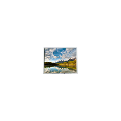 Buen precio Venta caliente 10.0 pulgadas 1200*1600 HSD100GBN1-029901-PX Pantalla LCD en línea
