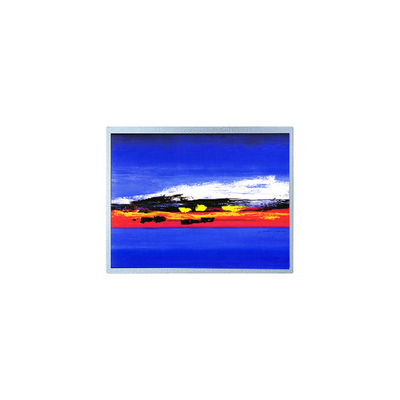 Buen precio Modulo de pantalla LCD de 1920*720 de 12,3 pulgadas HSD123JPW2-F10 en línea