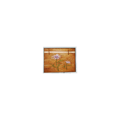 Buen precio Panel de monitor LCD pequeño de 5,0 pulgadas COM50T5M78GLC 320*240 500 cd/m2 en línea