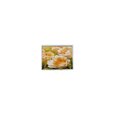 Buen precio COM50T5123XLC 320*240 Pantalla LCD de 5,0 pulgadas en línea