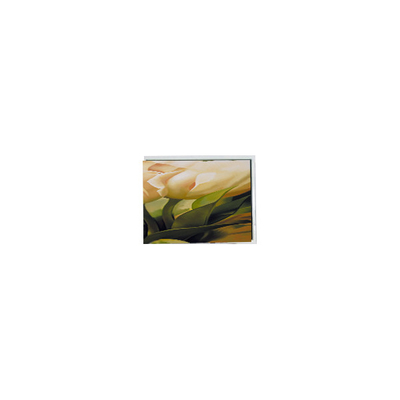 Buen precio Modulo de pantalla táctil LCD de 5,0 pulgadas de alta calidad 320*240 COM50T5124GTC en línea