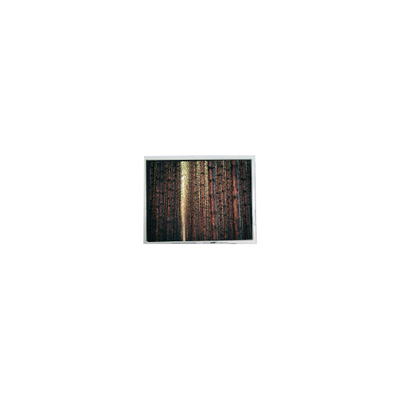 Buen precio FG04032PDSSWBG01 480*272 pantalla de LCD de 4,3 pulgadas en línea
