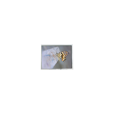 Buen precio FG050722DSSWDGL2 640*480 5,7 pulgadas 20 pines Partes de pantalla LCD en línea