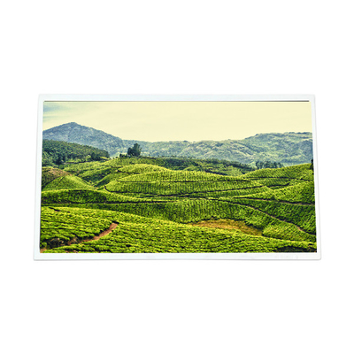 Buen precio pantalla LCD original de 12,3 pulgadas QV123FHM-N15 para automóviles en línea