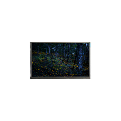 Buen precio N156BGE-P21 1366*768 pantalla LCD de 40 pines en línea