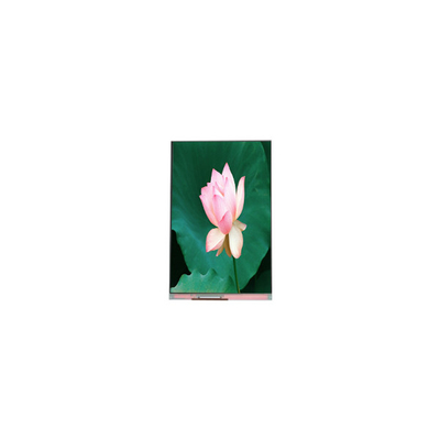 Buen precio 1080*1920 PJ055IA-14A 5,5 pulgadas pantalla LCD de 60 Hz módulo LCD en línea