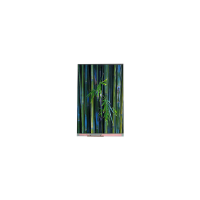 Buen precio PJ055IC-02M pantalla LCD WLED de 5,5 pulgadas en línea
