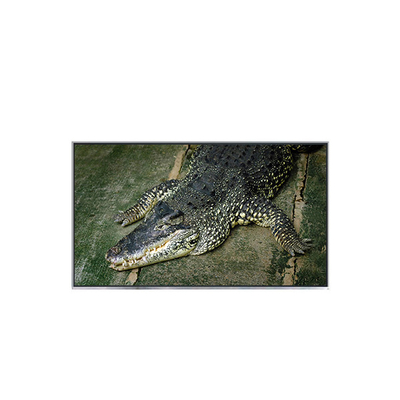 Buen precio B133EW01 V7 13,3 pulgadas 1280*800 Panel de pantalla LCD para computadora portátil en línea