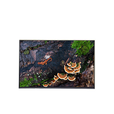 Buen precio B170PW07 V0 Reemplazo de panel de LCD de 17,0 pulgadas Pantalla portátil en línea