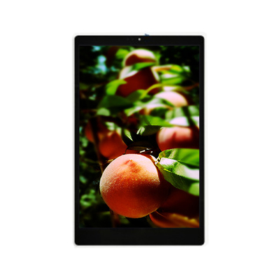 Buen precio Nuevo panel de pantalla LCD de 10,1 pulgadas en línea