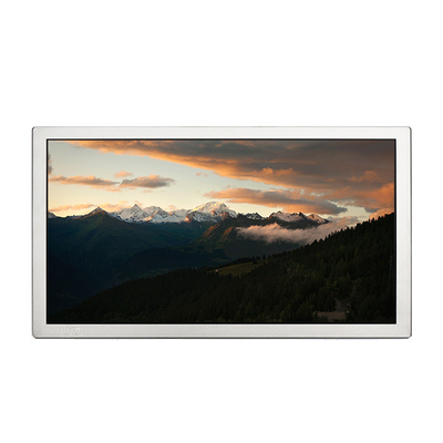 Buen precio en stock H666TAX01.0 Pantalla LCD de 6,7 pulgadas en línea