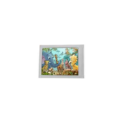 Buen precio F055A25-403 panel de pantalla LCD de 5,5 pulgadas 720*1440 pantalla LCD en línea