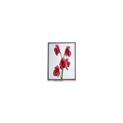 Buen precio 480*960 C060SWY7-0 Pantalla LCD de 6,0 pulgadas en línea