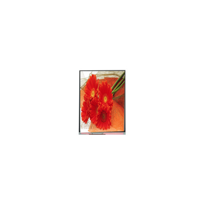 Buen precio 5.5 pulgadas C055SWY9-0 pantalla LCD para teléfono móvil en línea