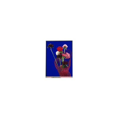 Buen precio 5.4 pulgadas C054SWR6-0 540 * 1132 pantalla LCD para el teléfono en línea