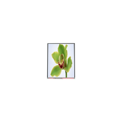 Buen precio 5.0 pulgadas de pantalla TFT LCD 480 * 854 C050SWYG-3 en línea