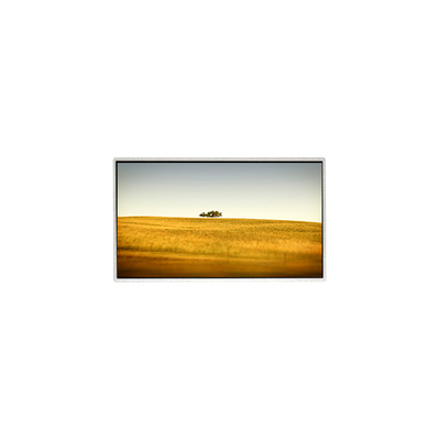 Buen precio Venta caliente 10.1 pulgadas TT101WSQ-N10 1024 * 600 pantalla de pantalla LCD para PC de Netbook en línea