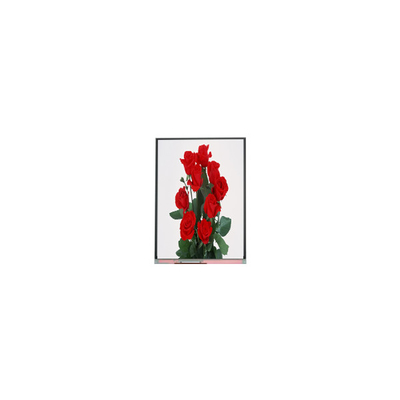 Buen precio Nueva pantalla LCD de 6,2 pulgadas C062SWP1-1 800*480 en línea