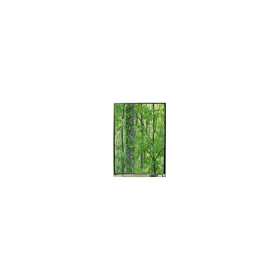 Buen precio LS055D1SX04 Pantalla LCD 4K de 5,5 pulgadas Panel LCD original en línea