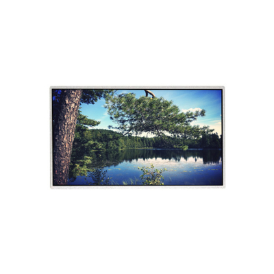 Buen precio 21.5 pulgadas original HM215WU3-501 TFT panel de pantalla LCD en línea