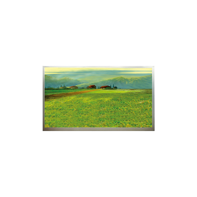 Buen precio N173H6-L04 1920*1080 Panel de pantalla LCD de 17,3 pulgadas en línea