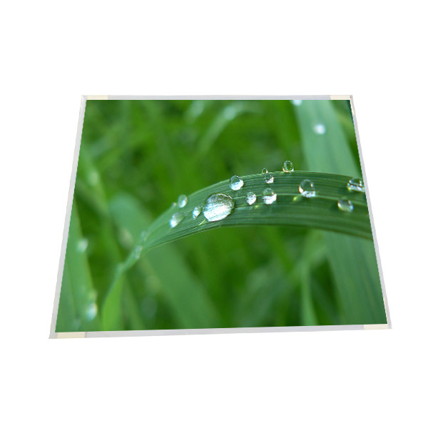 AUO 19&quot; M190EG02 V4 (B) 1280*1024 uno-Si TFT LCD, el panel de la pantalla de LCM