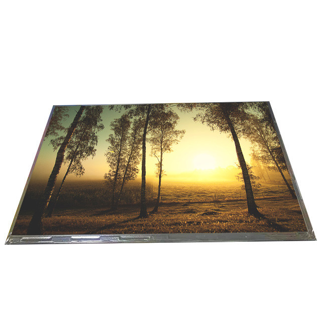 Exhibición de panel LCD del tft ×1200 de la pulgada 1920 de AUO B101UAN01.7 HW0A 10,1 (RGB) módulo del lcd de 10,1 pulgadas