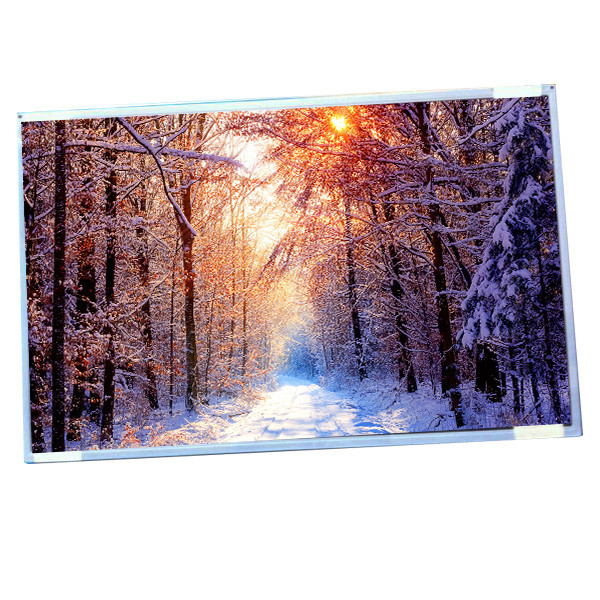 Pantalla ancha de la pulgada IPS lcd de la exhibición G220SW01 V0 22,0 de AUO con la resolución 1680 (RGB) ×1050