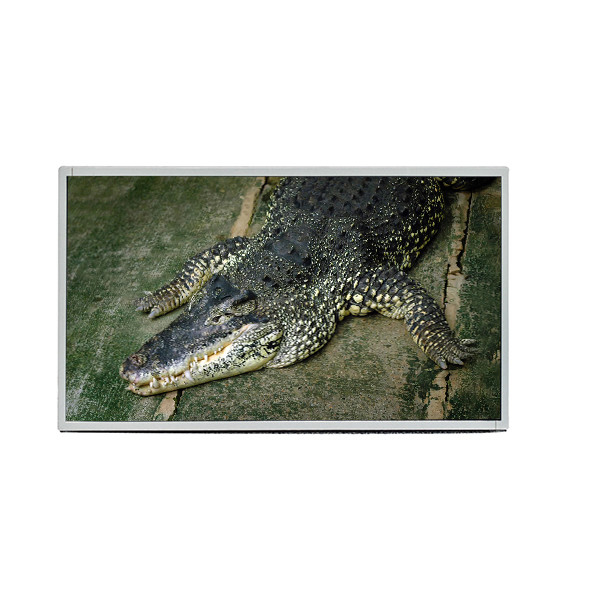 AUO 19,5 pantalla de visualización del interfaz 1600X900 TFT LCD del panel M195RTN01.0 LVDS de la pulgada para el ordenador portátil industrial