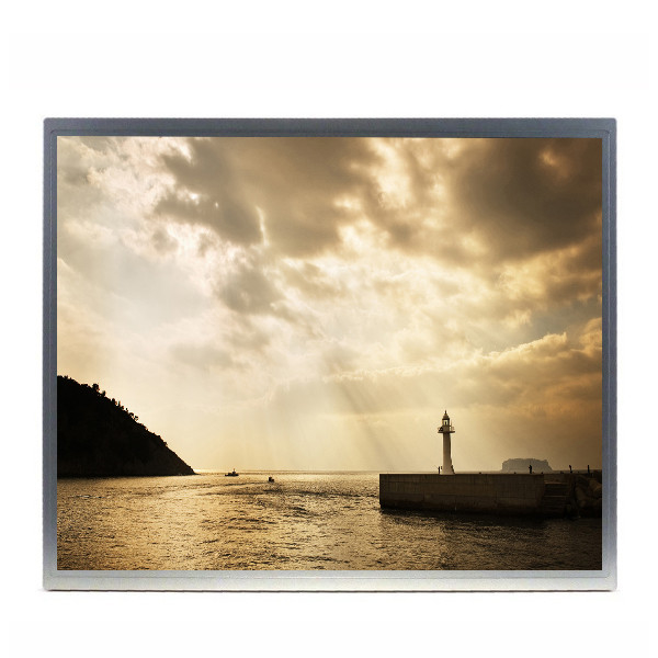19,0 módulos AA190EA01 de la exhibición de panel LCD de la resolución de la pulgada AA190EA01 1280 (RGB) ×1024 RGB