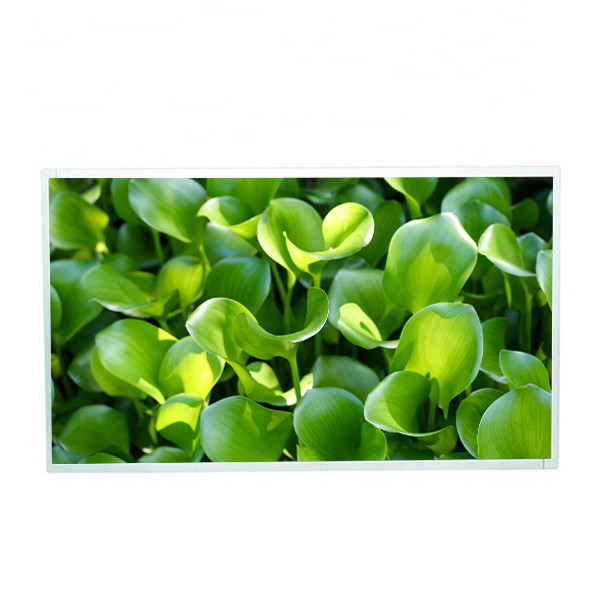 Pantalla del IPS de la resolución de M215HJJ-L30 Rev.C5 1920*1080 exhibición de TFT LCD lcd de 21,5 pulgadas para el quiosco de la pantalla táctil
