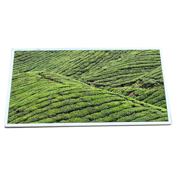 23 monitor LCD de la pulgada 30pin LVDS FHD WLED el 72% NTSC LM230WF5-TLF11 para la PC de AIO