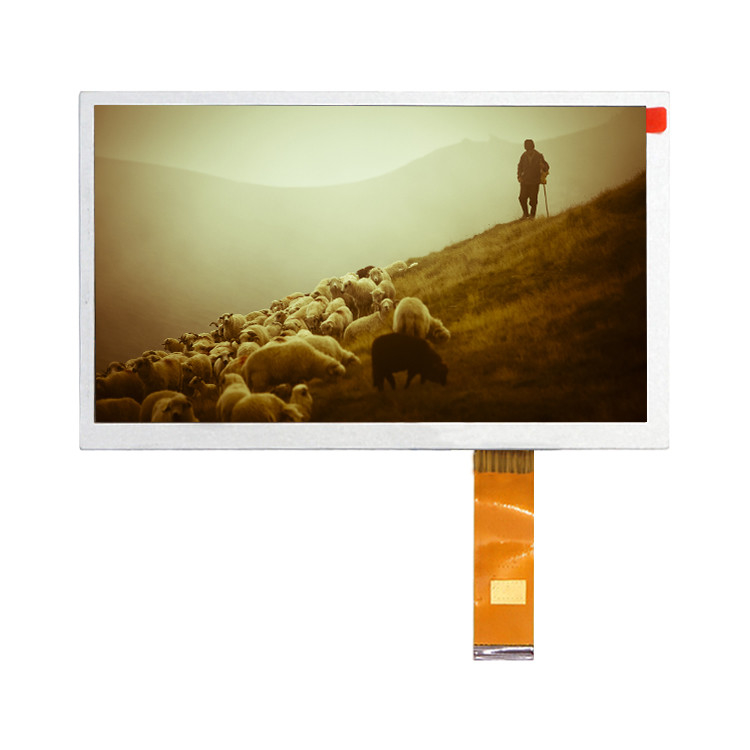 Pantalla de visualización del módulo de la pulgada IPS TFT LCD de Hannstar HSD080IFW1-A00 1024*600 8,0