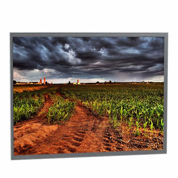 Pulgada 1024*768 de Kyocera 10,4 10,4 panel LCD de la pantalla TCG104XGLPAPNN-AN40 del lcd del tft de la pulgada