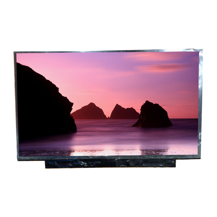10Panel LCD de 1 pulgada Módulo HSD101PFW3-D00-C00 1024*600 pantalla LCD