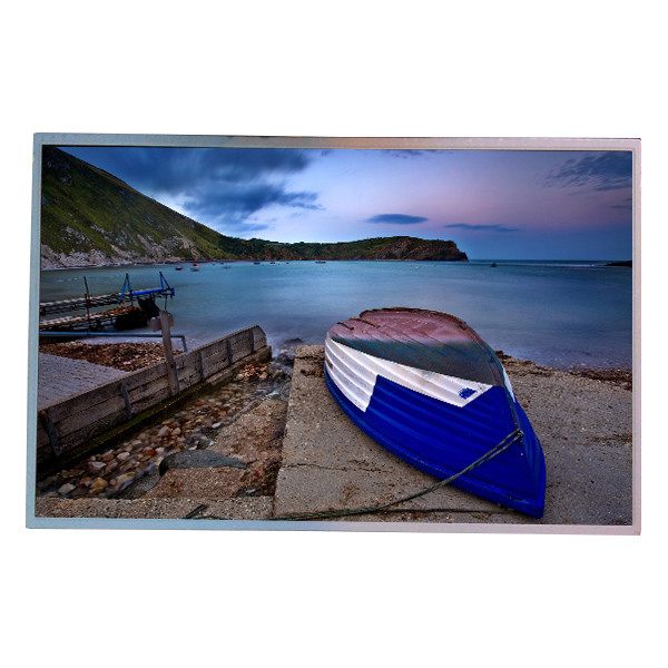 22.0 pulgadas 1680*1050 66 Pin M220Z1-L09 Pantalla de pantalla LCD TFT-LCD Panel