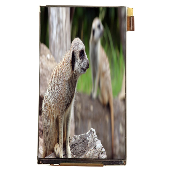 LQ055K3SX02 Modulo LCD de 5,5 pulgadas Interfaz 720 * 1280 Pantalla LCD para pantalla de automóvil