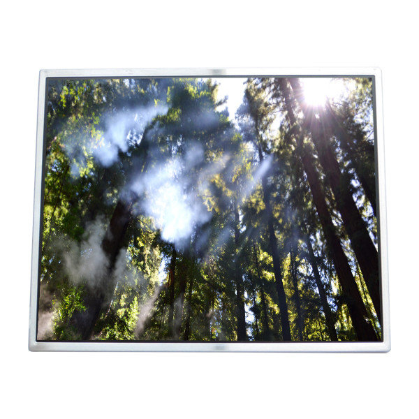 LTM190M2-L01 Pantalla LCD de 19,0 pulgadas Pantalla LVDS módulo LCD de conector de 30 pines