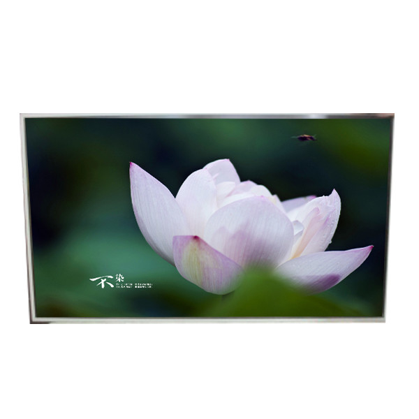 LD490EQG-FPA3 49.0 pulgadas 3840*2160 Panel de pantalla LCD de resolución para señalización digital