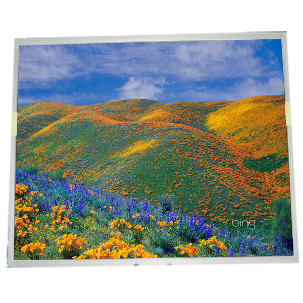 LM170E03-TLH4 17.0 pulgadas 1280*1024 para el módulo de pantalla LCD del monitor de escritorio