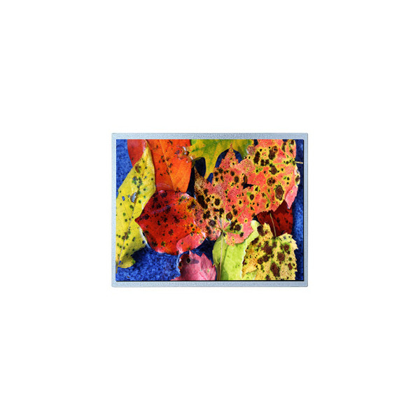 G121ACE-LH1 12,1 pulgadas 800*600 1000 1 LVDS Pantalla LCD para pantalla industrial sin toque