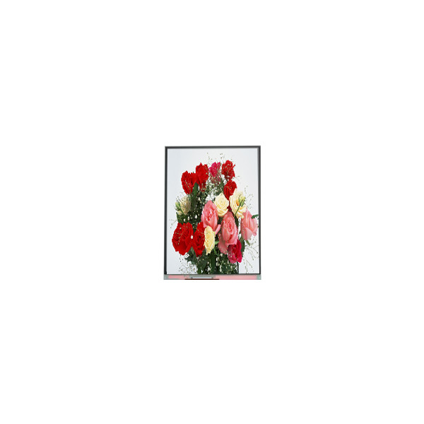 C065SWR4-0 Original en stock 6.5 pulgadas 540 * 1200 pantalla LCD