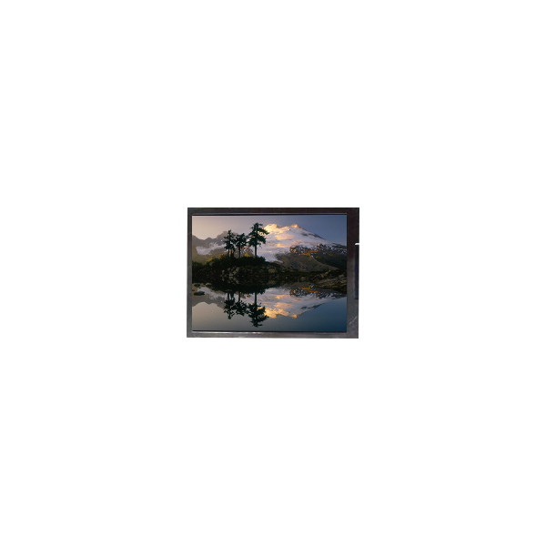 F050A19-6T1 Pantalla LCD de 5,0 pulgadas 720*1280 para teléfono móvil
