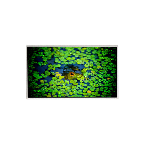 HR236WU3-301 23.6 pulgadas 1920*1080 Pantalla LCD para el monitor de escritorio