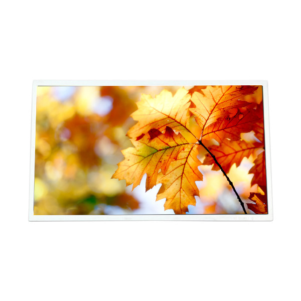 B101AW06 V1 HW4A 10,1 pulgadas 1024*600 Pantalla LCD para computadoras portátiles