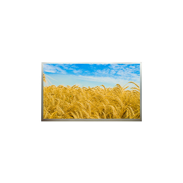 M216H1-L001 21.6 pulgadas 1920*1080 FHD pantalla LCD con monitor de escritorio