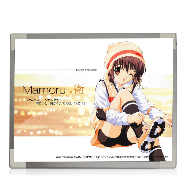 M170EP01 V0 1028*1024 TN, conector de 69 pernos normalmente blanco, transmisivo   Pantalla del ordenador portátil del LCD